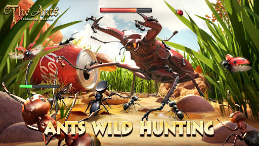 Las hormigas: Reino subterráneo Las hormigas: Reino subterráneo